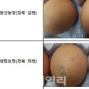 계림2축산 네이버블로그