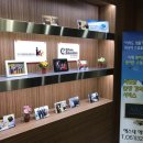 에스네에듀케이션