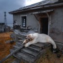금주 최고의 월드 보도사진 20選 (October 17, 2025) 이미지