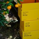 디자인파머