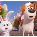 마이펫의 이중생활 이미지