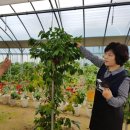 충청농장 이미지