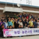 신성 이미지