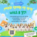 8코기네 이미지