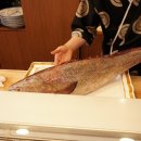 배수사 - 양천구 | 배수사