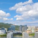 대박센텀포레비스타공인중개사사무소 이미지