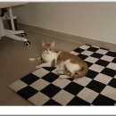 아이조아 요양보호소 경기광주 이미지