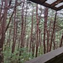 SAUNA (OUTDOOR SPA&POOL) | 강원도 스파펜션, 노천탕펜션, 야외수영장까지 숙소 추천 - 숲속의연인별 (횡성군) 내돈내산 후기