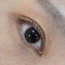 디자인해드림 | 관악구 속눈썹 펌 추천 30년 경력 내공의 홍에스테틱 프리미엄 클리닉 펌 찐만족 후기
