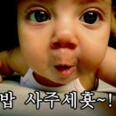 다람 이미지