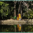 자연미소치과 이미지