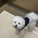 [수원 영통]플루토플루토x언덜, 감성 가득한 베이커리 카페 내돈내산 후기