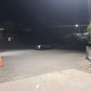 롯데리아 안성죽산점 이미지