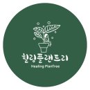 숲협동조합힐링플랜트리