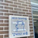 헬로우 그루밍 이미지