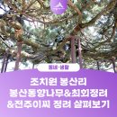 열녀 전주이씨 정려 이미지