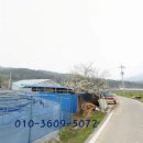 영신목장 이미지