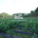 딸기공인중개사사무소 이미지