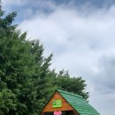 양대초등학교 이미지