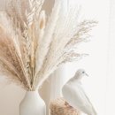 깨끗한 사람들 이미지