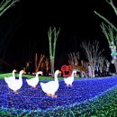 별이빛나는밤에 이미지