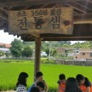 알로하태권도장 이미지