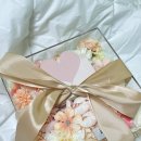 에스씨아이씨 이미지