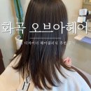 주이헤어 - 유성구 | 화곡역 오브아헤어살롱 주이 디자이너님 클리닉 추천 후기