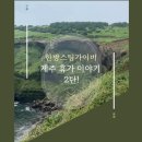 한방스팀가이버제주