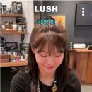 LUSH 러쉬 트위터 팔로워 이미지