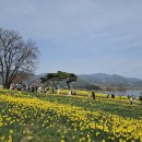 스위스랜드 이미지