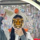 브라이트독
