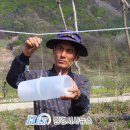 삼척시농업기술센터(원덕) 이미지