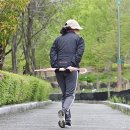수목원 봄ㅡ매자나무/골담초 외 - by 모모수계 이미지