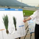고성녹즙
