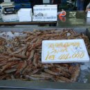 백사장항(대하) 이미지