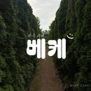 제주 서귀포 카페 베케(VEKE) 후기｜초록 풍경에 머물고 싶은 정원 카페
