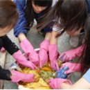 약초골한옥마을 네이버블로그
