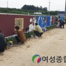 봉황거리 벽화 이미지