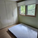 포레스트 월악 이미지