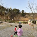 영우네농어촌관광농원
