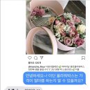 디망쉬플레르 이미지