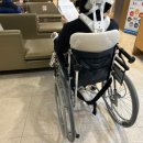 자동차병원 이미지