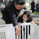 화성애완동물용품