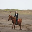 아름다운선 이미지