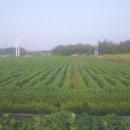 친환경우리농장 이미지