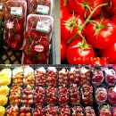 윤주농장 이미지