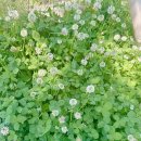 대저수문공원 이미지