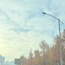 일산 산후보약 동천한의원 주차꿀팁