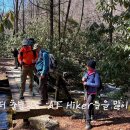 Appalachian Trail 조지아구간 이어걷기 section 2 이미지